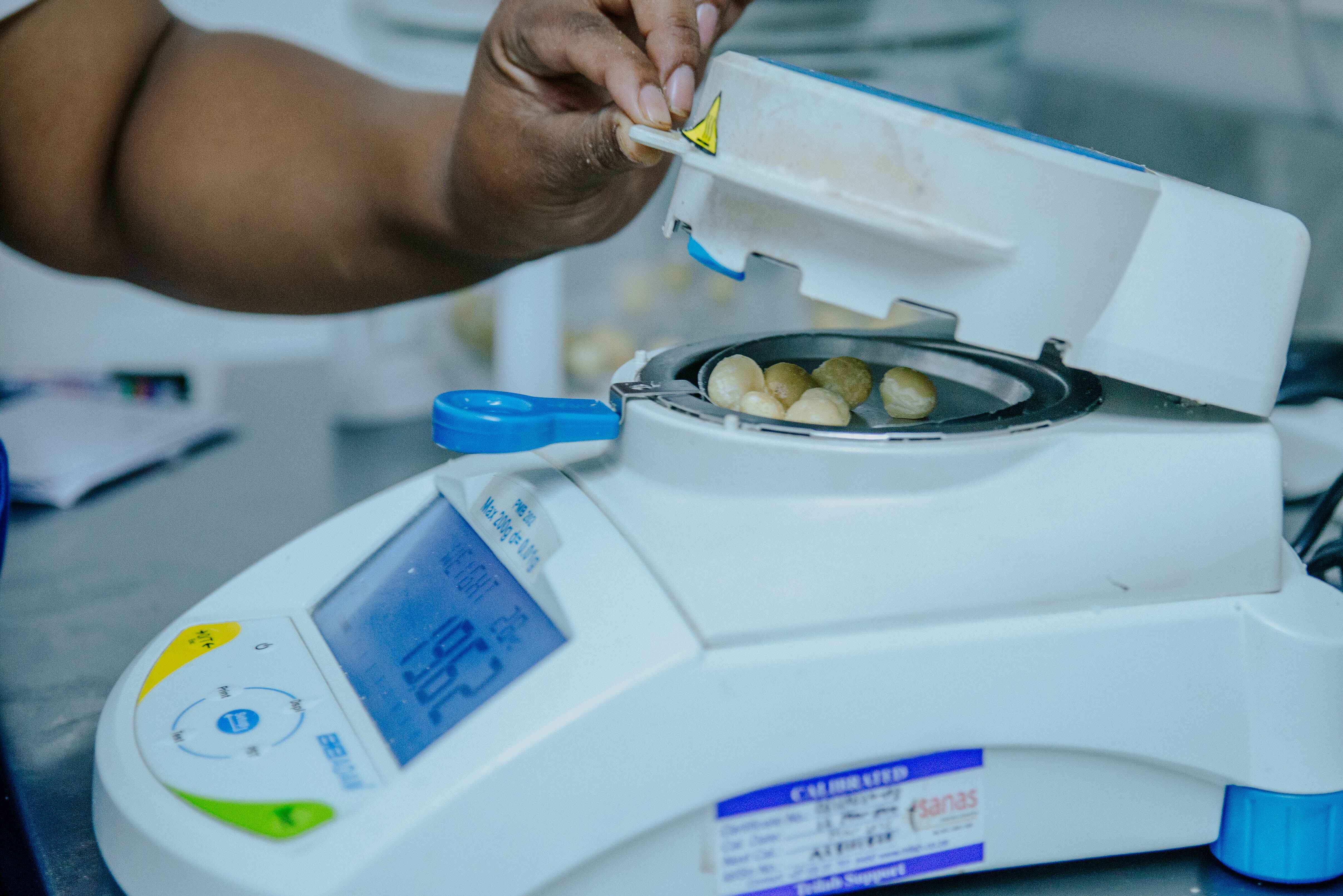 Macadamia Testing
